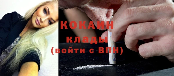 ешки Богданович