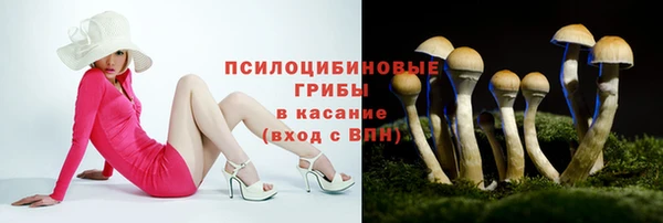 прущие крисы Беломорск