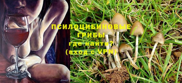 ешки Богданович
