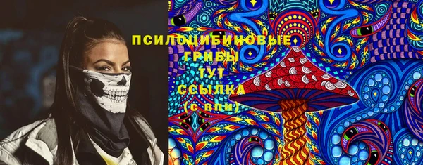 ешки Богданович